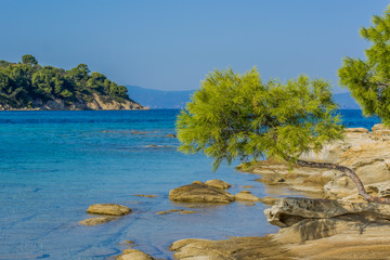 Obraz premium picturesque beautiful exotic tropic scenery landscape of Arabian sea natural environment with vivid blue water lagoon rocky coast with green cedar tree and view on island, vacation resort concept 
