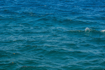Fototapeta premium vivid blue sea water surface with waves background wallpaper scenic view