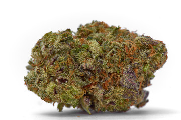Close up of Kush OG  prescription medical marijuana and recreational weed hybrid strain sticky flower bud isolated on a white background