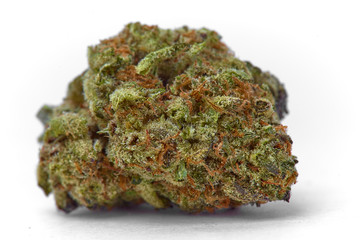 Close up of Kush OG  prescription medical marijuana and recreational weed hybrid strain sticky flower bud isolated on a white background