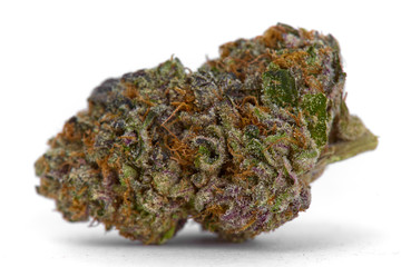 Close up of Kush OG  prescription medical marijuana and recreational weed hybrid strain sticky flower bud isolated on a white background