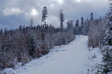 Fototapeta premium 2018-12 Winterurlaub