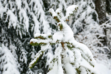 2018-12 Winterurlaub