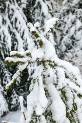 2018-12 Winterurlaub