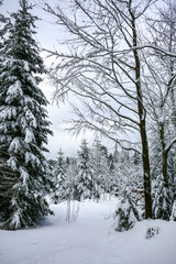 2018-12 Winterurlaub