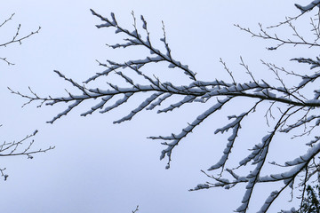 2018-12 Winterurlaub