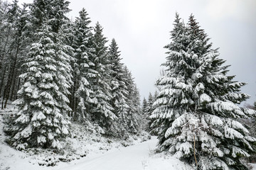 2018-12 Winterurlaub