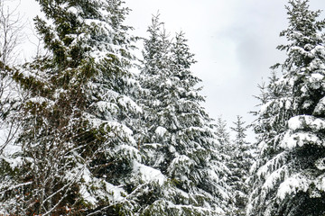 2018-12 Winterurlaub