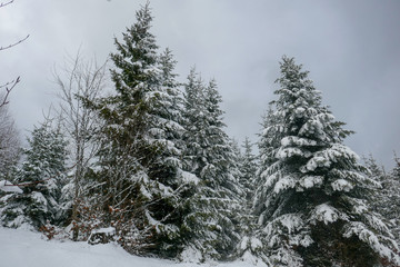 2018-12 Winterurlaub