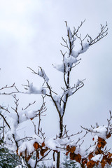 2018-12 Winterurlaub