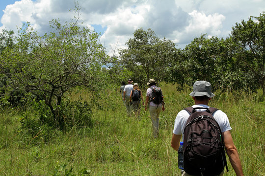 People on Walking Safari