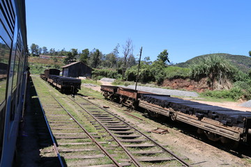 Obraz premium Train in Sri Lanka