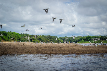 Cities of Brazil - Manaus, Amazonas - City Views from Rio Negro