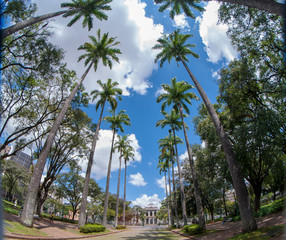 Fototapeta na wymiar Street with palm trees