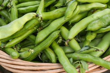 large Basket full of green fava beans