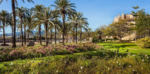 Fototapeta premium Palma de Mallorca Mallorca Spain at the Cathedral La Seu