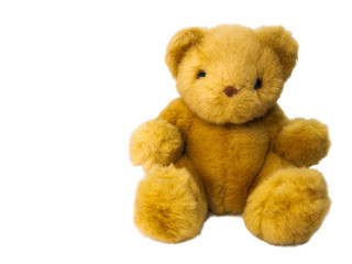 Brown teddy bear on white background.