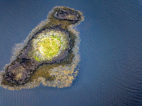 Aerial view of seal colony in Scotland - UK