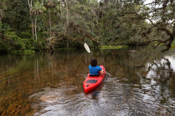 Adventurous girl kayaking on a river covered with trees. Taken in Chassahowitzka River, located...