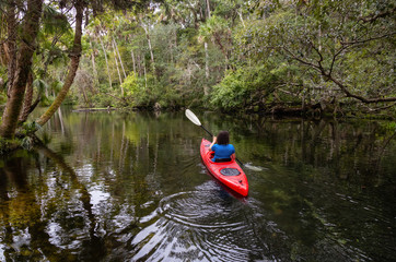Adventurous girl kayaking on a river covered with trees. Taken in Chassahowitzka River, located West of Orlando, Florida, United States.