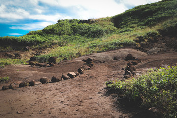Naklejka na ściany i meble Hiking trail in Maui