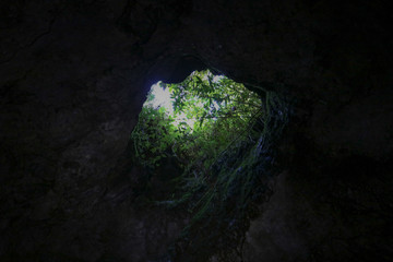 View from the beginning of the lava tube caves