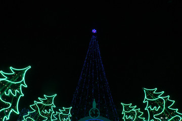 Christmas tree in the night on a square