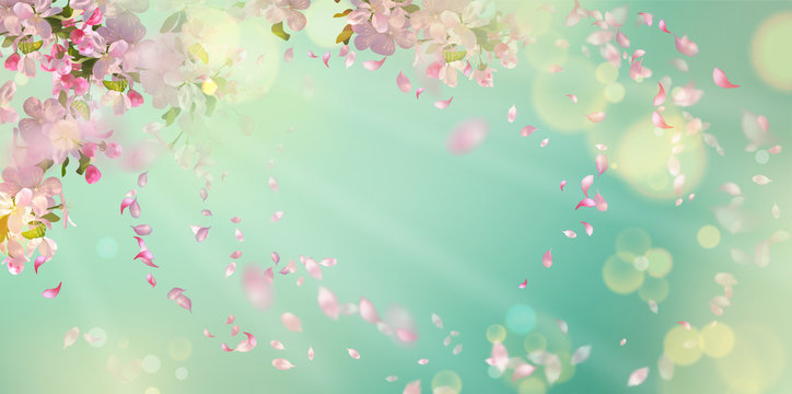 Spring Blossom Background