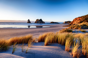 Morning sunrise with bushes and grass at Wharariki Beach New Zealand - obrazy, fototapety, plakaty