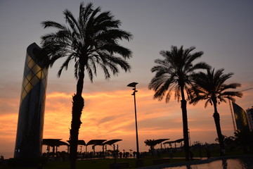 Obraz premium Amaxing sunset thrue the Palm trees 