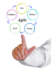 Components of agile process