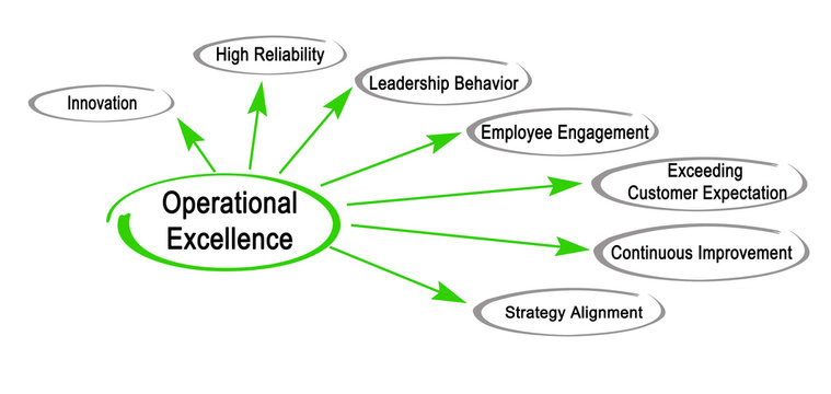 Drivers of Operational Excellence.
