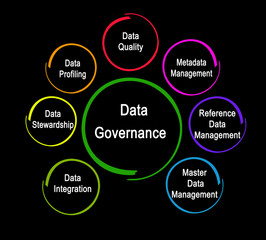 Components of Data Governance