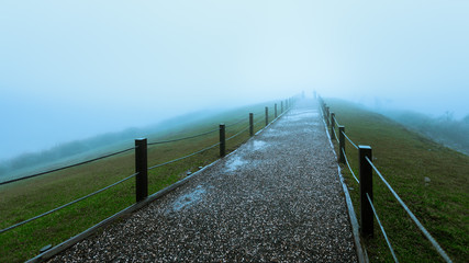 A straight path that leads to an unknown destination. The weather is gloomy, foggy and misty. It feels cold, quiet, and mysterious. This image is good for background use.
