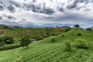 A countryside landscape with rolling hills. It is undulating rising and falling. The scenery is spectacular. There are trees, mountain ranges, and dramatic clouds.