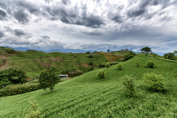 Obraz premium A countryside landscape with rolling hills. It is undulating rising and falling. The scenery is spectacular. There are trees, mountain ranges, and dramatic clouds.