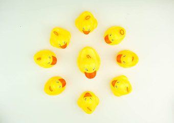 Fototapeta premium Yellow rubber duck on white background. Leadership concept.