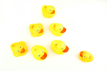 Yellow rubber duck on white background. Leadership concept.