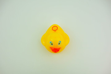 toy on white background