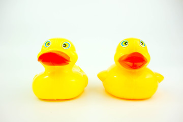 rubber ducks on white. Relationship concept.