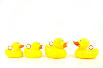 Yellow rubber duck on white background. Leadership concept.