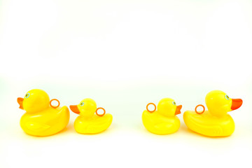 rubber ducks on white