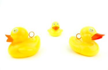 rubber ducks on white