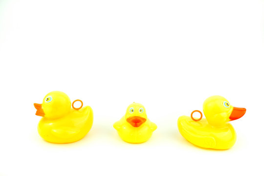 yellow rubber duck isolated on white background