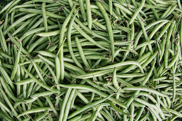 beautiful closeup detailed view of bright green appetizing, fresh french beans