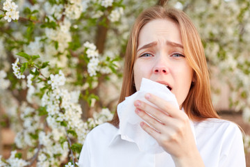 Outdoor shot of discontent young girl has seasonal allergy, uses tissue, poses over blooming tree, has rhinitis and sneezing, reacts on allergens. Horizontal view. People and disease concept - obrazy, fototapety, plakaty