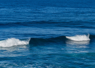 A beautiful beach in the carbbean