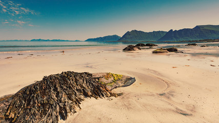 Sea coast with sandy beach,Lofoten Norway © anetlanda