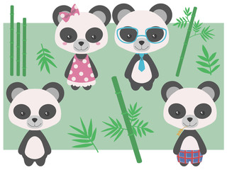 Collection of different cute cartoon style giant panda bear girls and boys with clothing and bamboo vector illustration