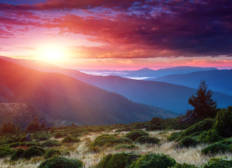 Amazing landscape in the mountains at sunrise. Concept of the awakening wildlife, romance,emotional...